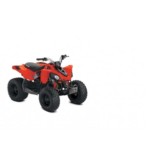 ATV Can-Am DS 90